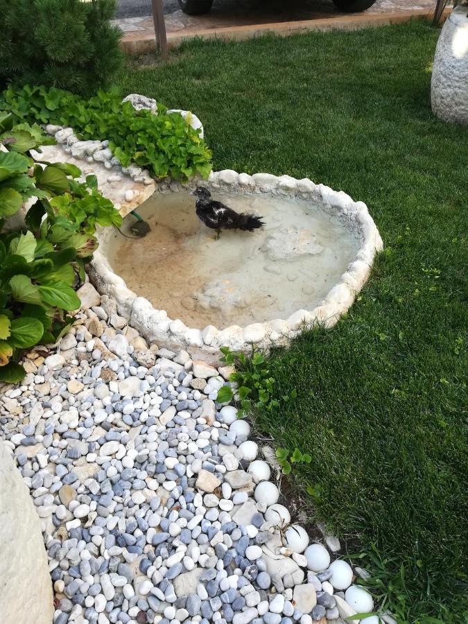 Apartmani Villa Otilija Poreč Dış mekan fotoğraf