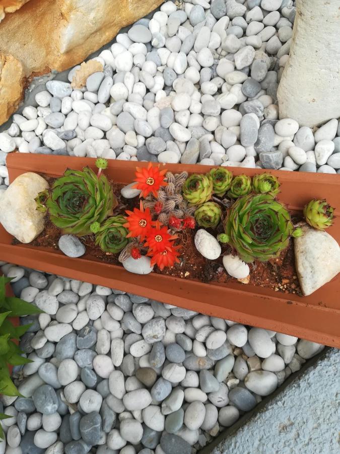 Apartmani Villa Otilija Poreč Dış mekan fotoğraf